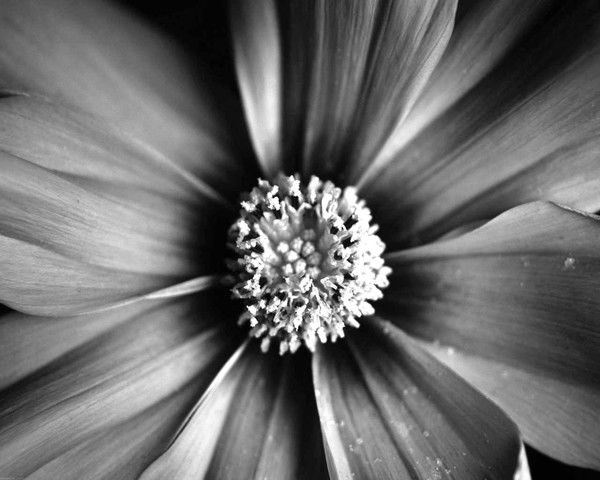 Ольга Сергеева