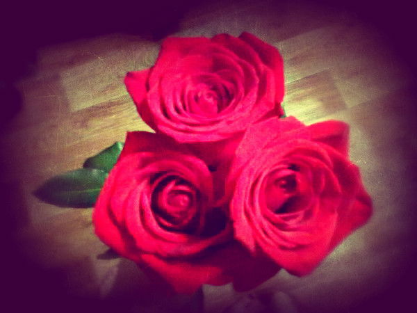 Надежда Стебловская