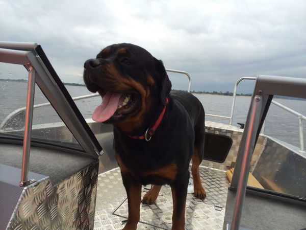 Олег Телясов