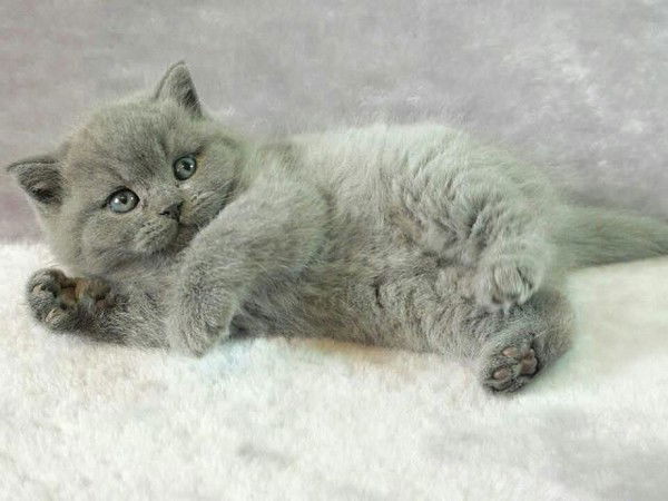 Ирина Михеева