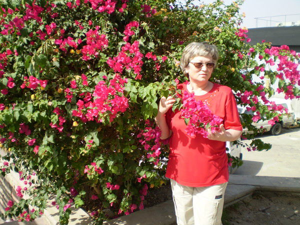 Ольга Нагребецкая