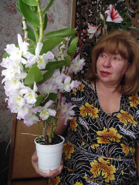 Елена Шахматова