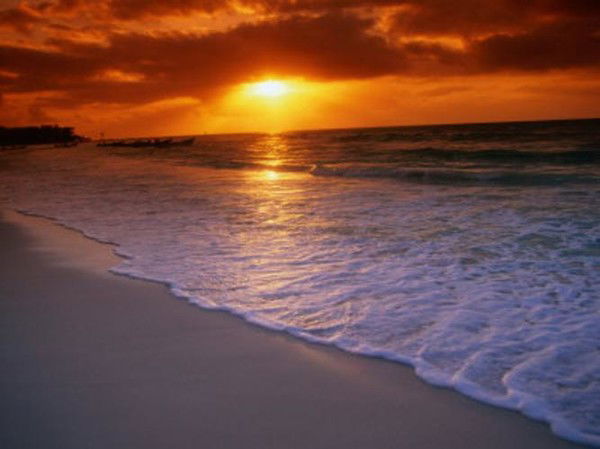 Дмитрий Емельянов