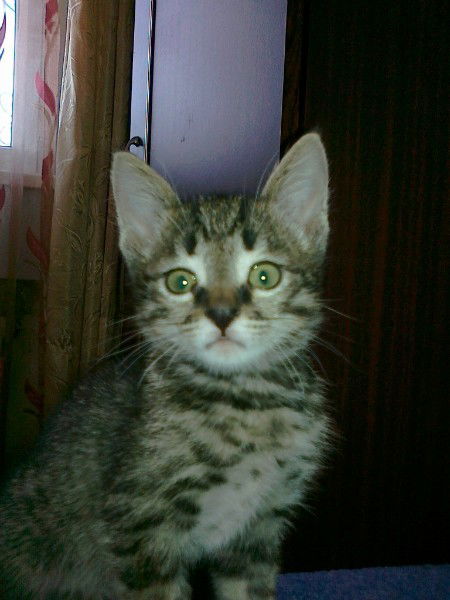 Турехан Тусенов