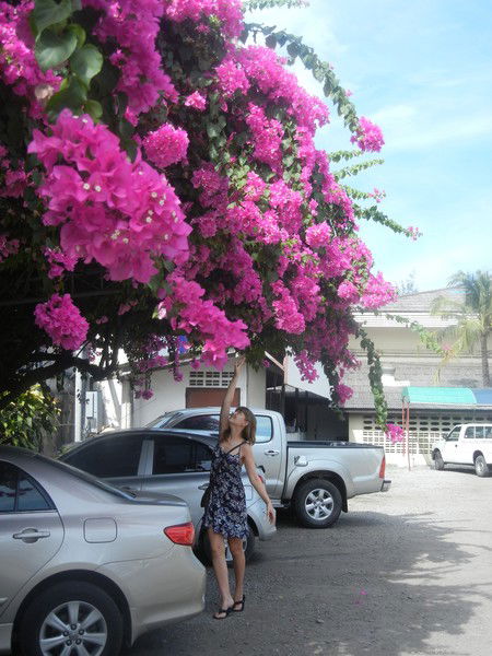 Елена Чижова