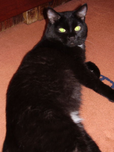 Наталья Колодина