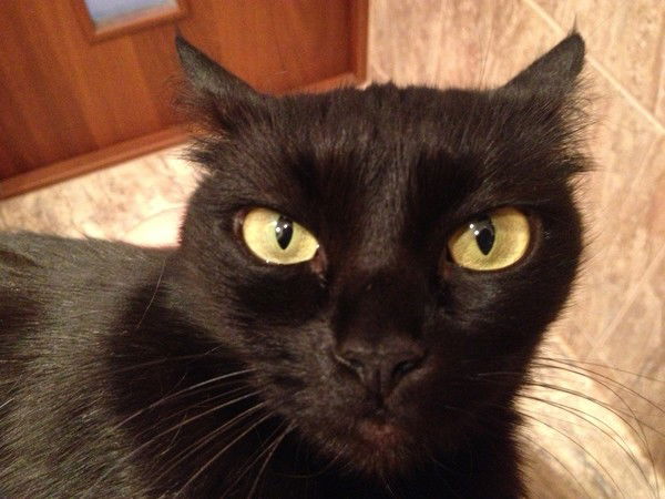 Кристина Лапченко