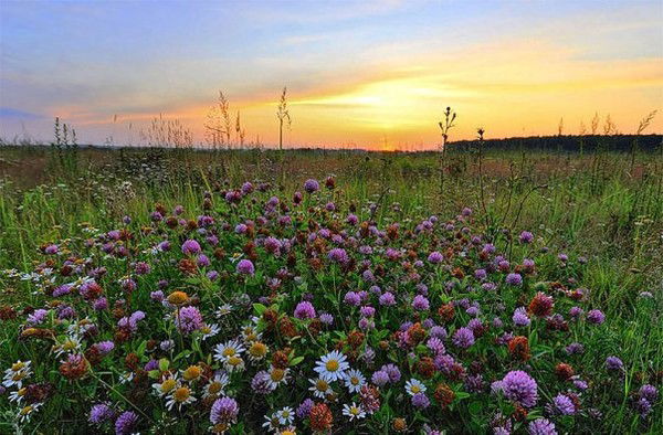 Татьяна Щербинина