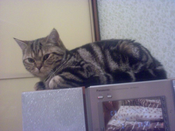 Наталия Савкина