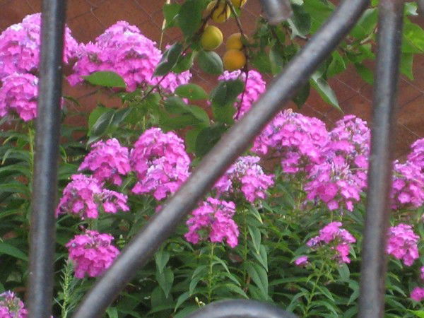 Ирина Худотёплая