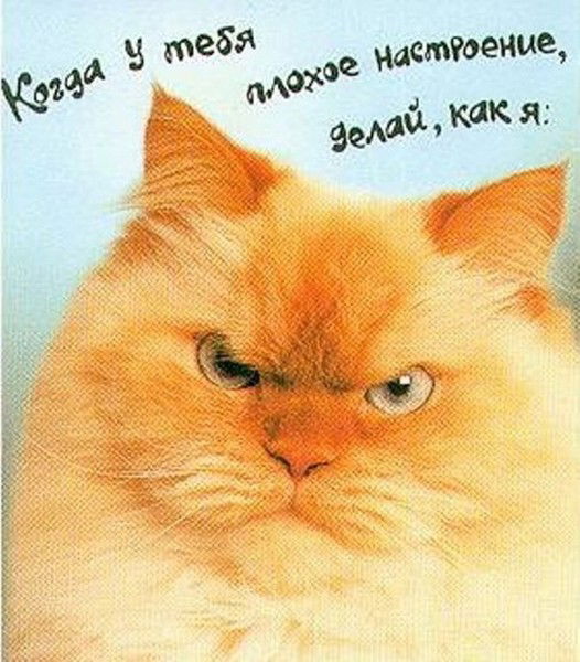 Вячеслав Грузинцев