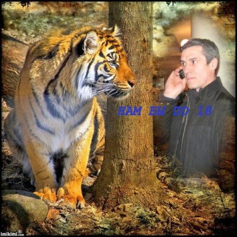 Штирлиц Одинокий