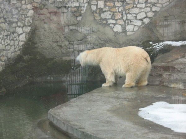 Андрей Теров