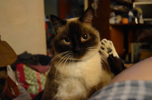 Александр Кузнецов