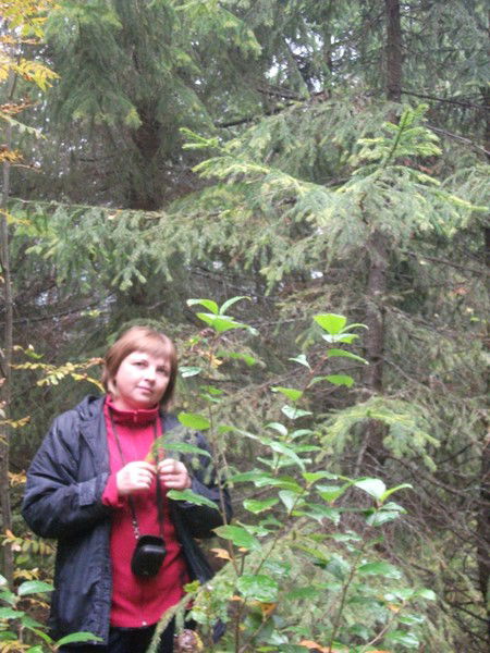 Марина Корлякова