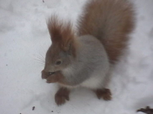 Татьяна Татьяна