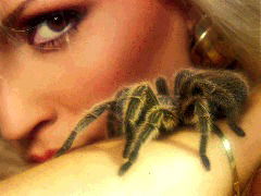 Светлана Краткова