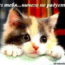 Хищник ............