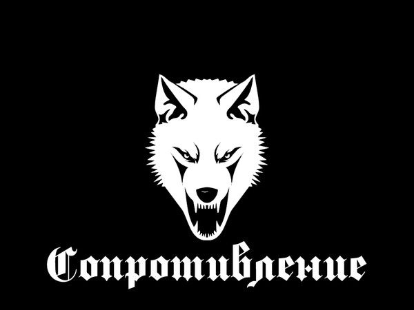 Павел Кравцов