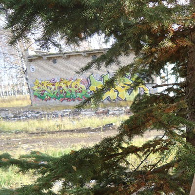 Мария Казанская