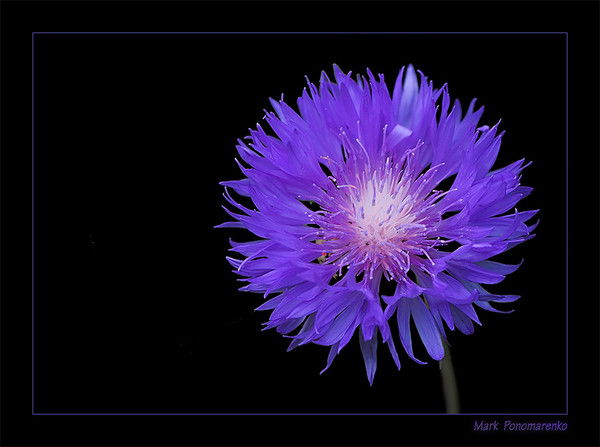 Борис Михайлович