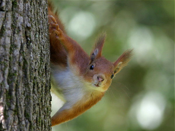 Лариса *******