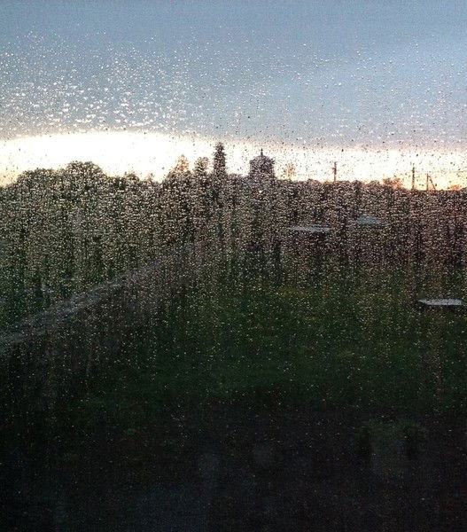 Светлана Игнатова