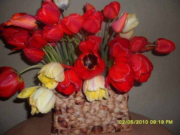 Илла Марсова