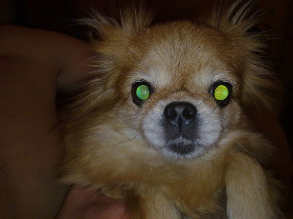 Юлия Морозова