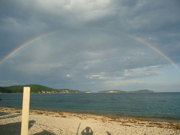 Владимир Дожин