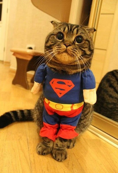 Ерболат Берикулы