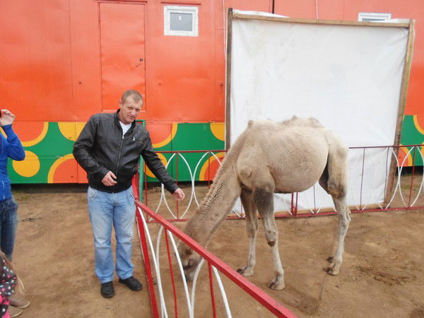 Сергей Воробьёв