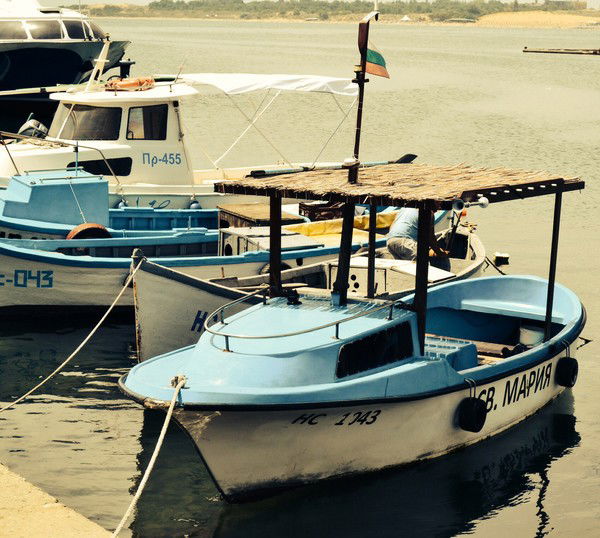 Зина Нехаева