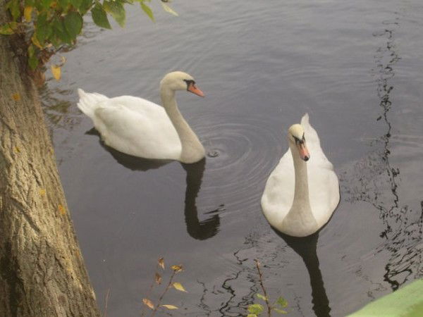 Гульнара Хуснутдинова