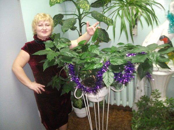 Ирина Ильина