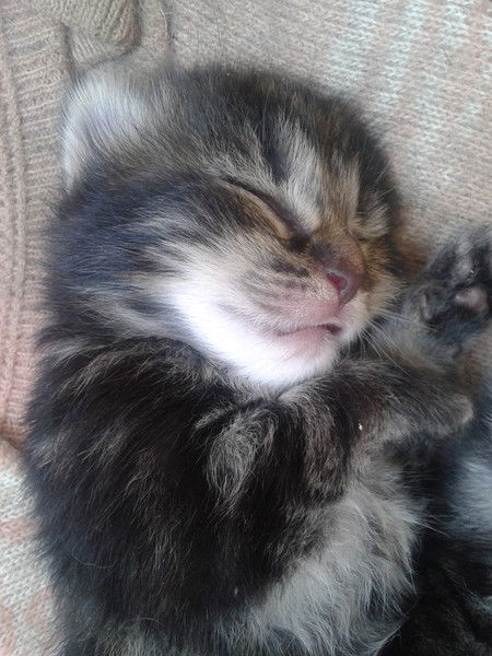 Юлия Мартьянова