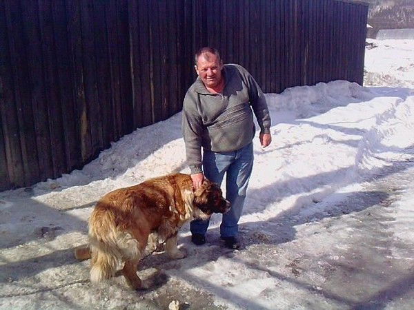 Алексей Боровицкий