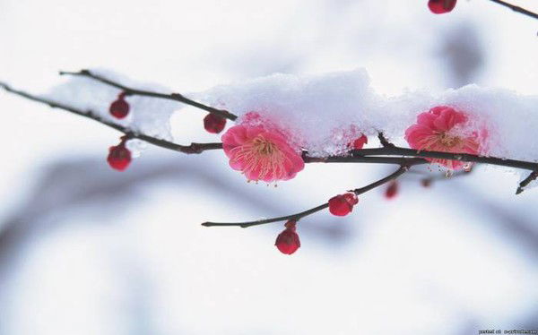 Валентина !!!!!!!!!!