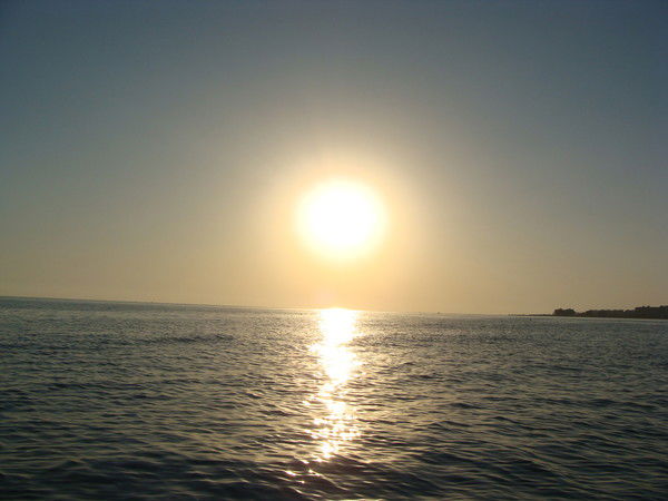 Юрий Зубков