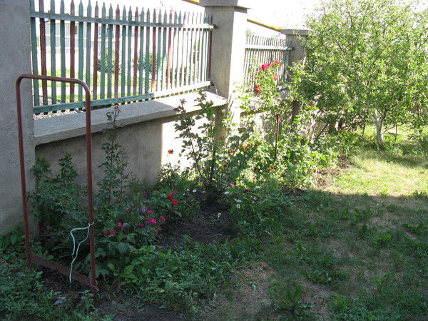 Светлана Накисько