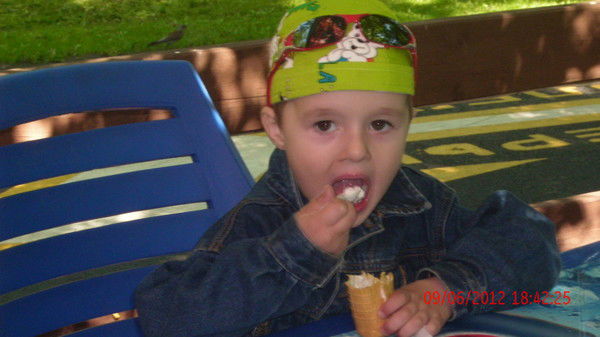 Дмитрий Грибовский