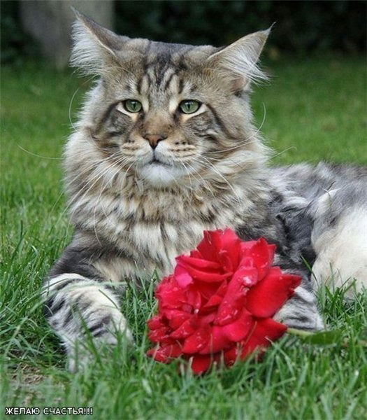 Иван Конюхов