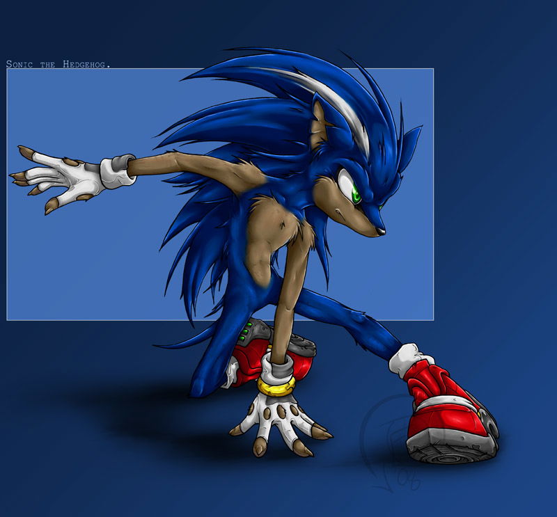Sonic The Hero
