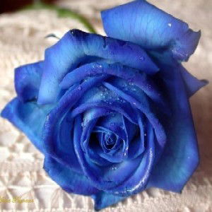 Анастасия Назмулина