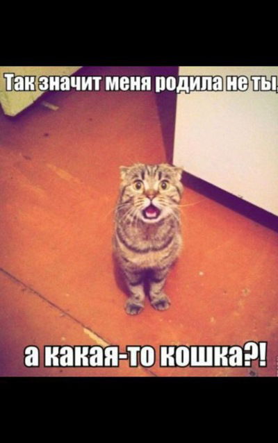 Вадим Симоненко