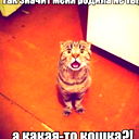 Вадим Симоненко