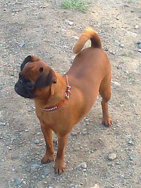 Марина Козицина