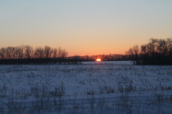 Лаванда Соколова