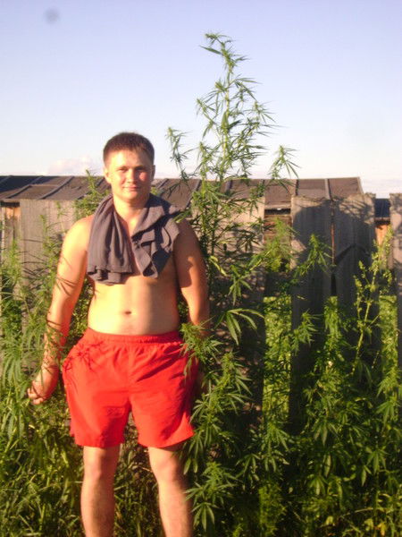 Миша Гаенко