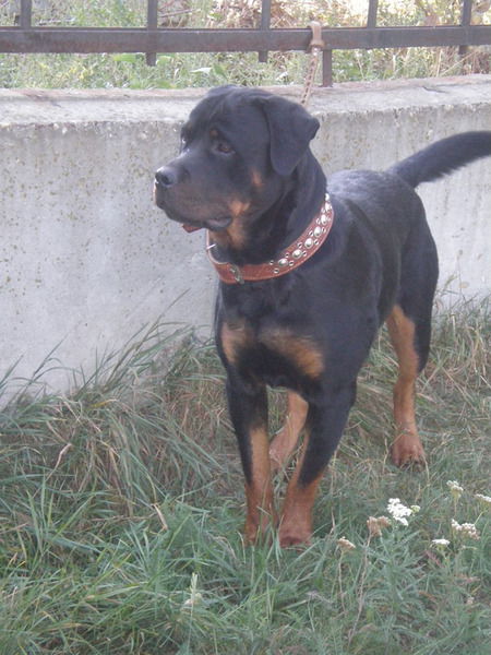 Ирина Кольдюшова